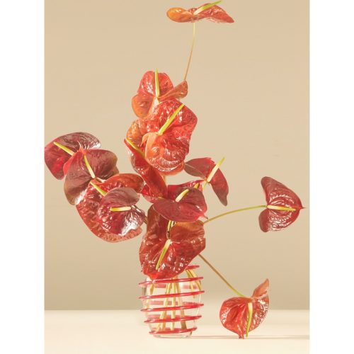Nunki Hand-Blown Murano Glass Vase