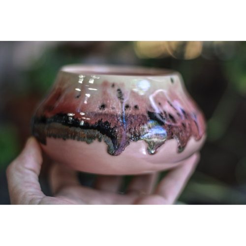 05-H EXPERIMENT Treat Bowl, 14 oz.