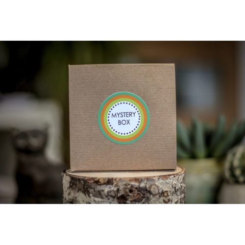 46-J Mystery Box