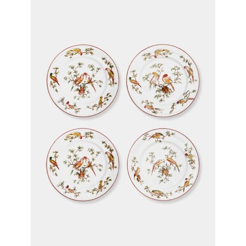 Pappagallini Ceramic Dinner Plates (Set of 4)