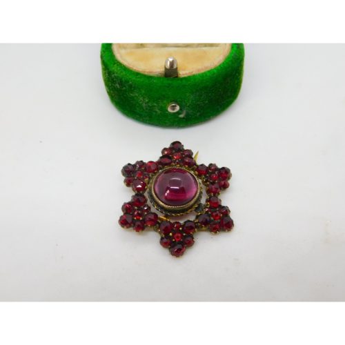 19th Century Austrian 8ct Gold & Bohemian Garnet Floral Brooch Antique c1850